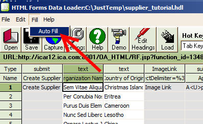 Auto fill in HTML Forms Data Loader