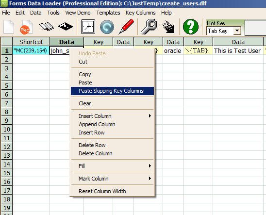 Data Loader Paste Skipping Key Columns option